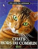 Chats hors du commun