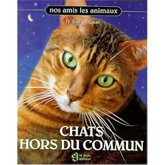 Chats hors du commun