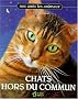 Chats hors du commun