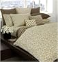 DKNY Play in Green Bedding Collection