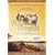 Wie im Himmel (Special Edition, 2 DVDs)
