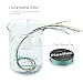 Piscifun Onyx PE Braided Fishing Line 300Yd Dark Green 15lb Test