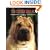 THE SHAR PEI TODAY (Book of the Breed)