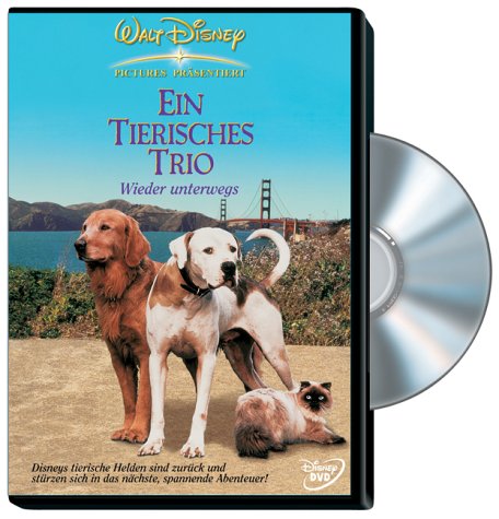 Ein tierisches Trio - Wieder unterwegs