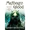 Explore Good Imaginative Fiction