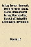 Turkey Breeds: Domestic Turkey, Heritage Turkey, Bronze, Narragansett Turkey, Bourbon Red, Black, Buff, Beltsville Small White, Royal-
