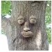 Genuine Tree Peeple Woodchuck Tree Face