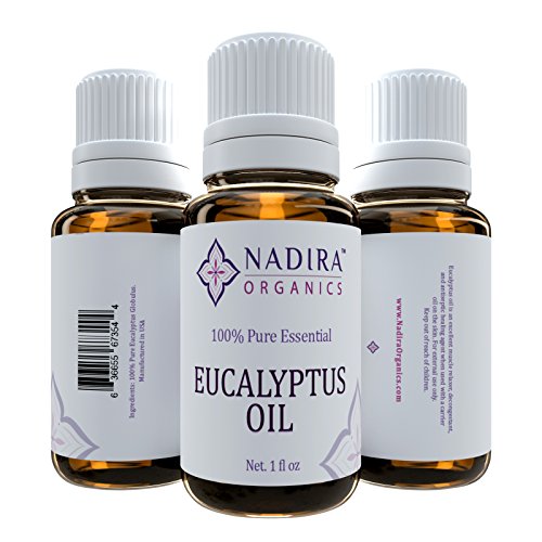 Eucalyptus Essential Oil - 100% Pure, Steam Distilled - 1 oz