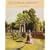 Victorian Gardens (Historic Gardens)