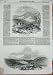 1844 Queen Scotland Deer Stalking Athol Glen Tilt Art