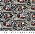 Nascar Burgundy Red Rust Dark Green Gray Silver White Country Lodge Cabin Juvenile Novelty Tapestry Automotive Upholstery Fabric by the yard