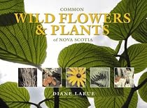 Common Wild Flowers & Plants of NS