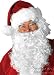 Men's Deluxe Santa Claus Costume Beard & Wig Set
