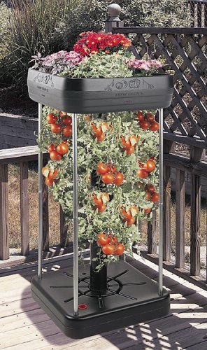 The Upside-down Tomato Garden