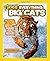 National Geographic Kids Everything Big Cats: Pictures to Purr About and Info to Make You Roar!