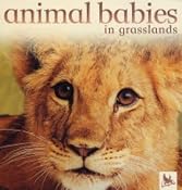 Animal Babies in Grasslands