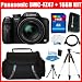 Panasonic Lumix DMC-FZ47 K 12.1 MP Digital Camera with 24xOptical Zoom (Black) + 16GB Deluxe Accessory Kit