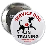 SERVICE DOG IN TRAINING Medical Alert ADA Check Local Laws 2.25 Pinback Button