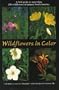 Wildflowers in Color: A Field Guide to More Than 250 Wildflowers of Eastern North America