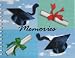 Memories Scrapbooking Fun Kit - Includes Assorted Die Cuts, Stickers and Photo Frames - 32 Pages, 46 Pieces.