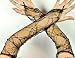 Black Spider Web Lace Gothic Gloves Arm Warmer Anime Cosplay Elegant Vampire