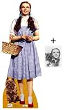 *FAN PACK* - JUDY GARLAND AS DOROTHY WITH TOTO - LIFESIZE CARDBOARD CUTOUT / STANDEE / STANDUP (Height 155cm) - Walking Down The Yellow Brick Road in The Wizard Of Oz - INCLUDES 8x10" (25x20cm) STAR PHOTO - FAN PACK #7IMAGE
