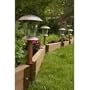 Frame It All Solar Accent Lights, 4 Pack