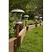 Frame It All Solar Accent Lights, 4 Pack