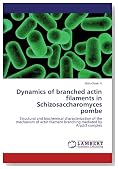 Dynamics of branched actin filaments in Schizosaccharomyces pombe: Structural and biochemical characterization of the mechanism of actin filament branching mediated by Arp2/3 complex