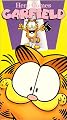 Here Comes Garfield [VHS]