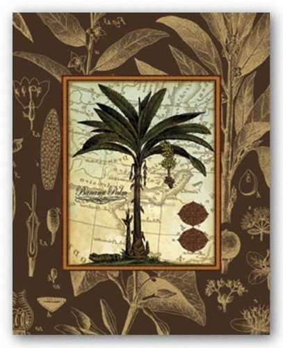 Banana Palm (Brown) by Karl Rattner 20