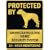 PROTECTED BY " AMERICAN BULLDOG HOME SECURITY SYSTEM " PARKING SIGN DOG