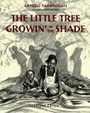 The Little Tree Growin' in the Shade