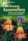 Die Kosmos Kanarenflora