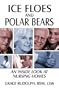 Ice Floes And Polar Bears: An Inside Look At Nursing Homes