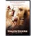 Shallow Ground