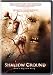 DVD : Shallow Ground