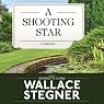 A Shooting Star