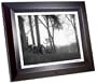 Fidelity Electronics DPF-1500 PRO 15-Inch Multimedia 1 GB Digital Photo Frame