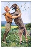 Art Poster, Irish Wolfhound - 18.75 x 27.5