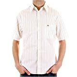 Burberry - BURBERRY SHORT SLEEVE SHIRTS