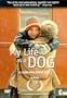 My Life As a Dog