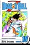 Dragon Ball Z, Vol. 10