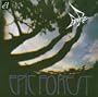 Epic Forest