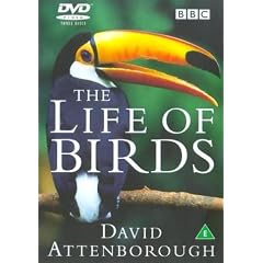 David Attenborough's Life Of Birds [Import anglais]