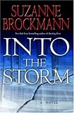 Into the Storm: A Novel
