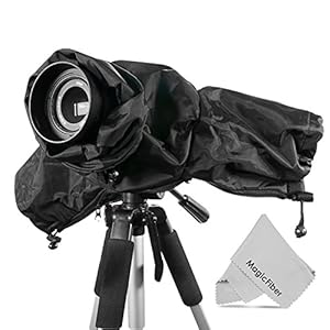 or Large DSLR Cameras (Canon Nikon Sony P