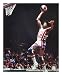 Julius Erving New Jersey Nets 16x20 Autographed Photograph