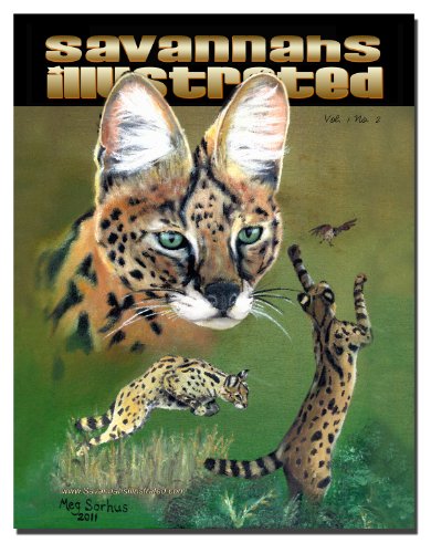 Savannahs Illustrated - Savannah Cats - Simply Savannahs