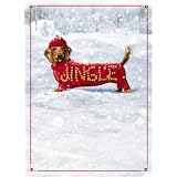 Avanti Plus Christmas Cards, Jingle Dog, 10 Count